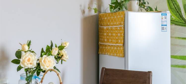 成都苏苏小姐公寓(FF足球公园分店)图片