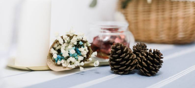 南京橘子汁公寓图片