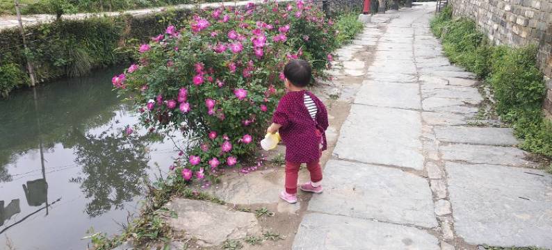 婺源庆源溪枫客栈图片