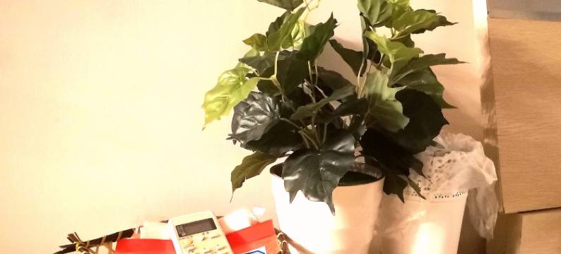 湛江绿坪观海公寓图片