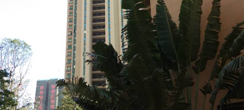 北海六月荷花公寓图片