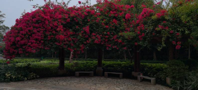 惠州敬畏自然感恩遇见度假别墅(惠荷美术馆分店)图片