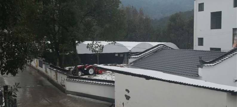 婺源在水益方宾馆图片