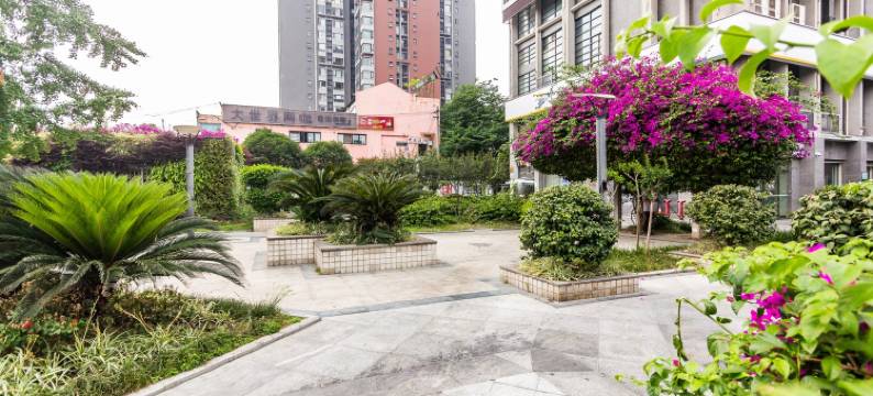 成都留圆家庭公寓图片