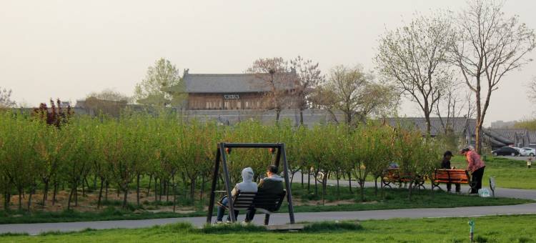 喜舍民宿(正定古城临济寺店)图片