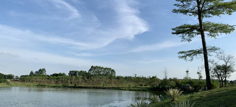 清远潘健飞度假别墅(4号店)图片