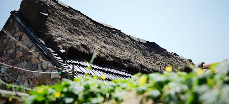 长岛李景涛民宿图片