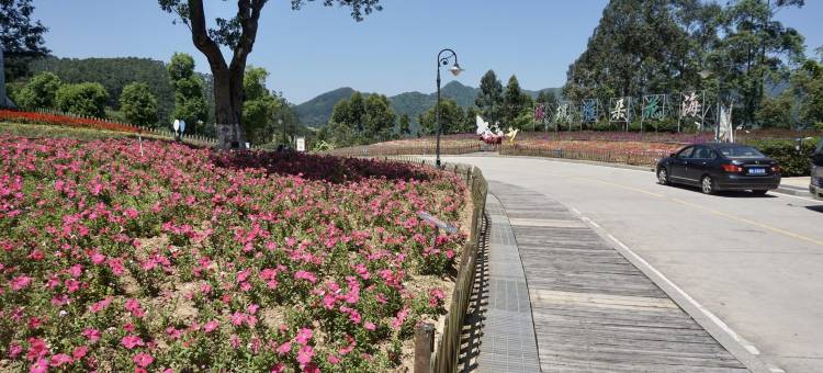 漳州十里蓝山悦墅度假别墅(13号店)图片