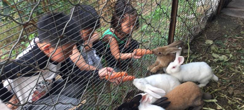 北京张家大院子农家乐图片