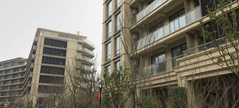 舟山老猫公寓图片