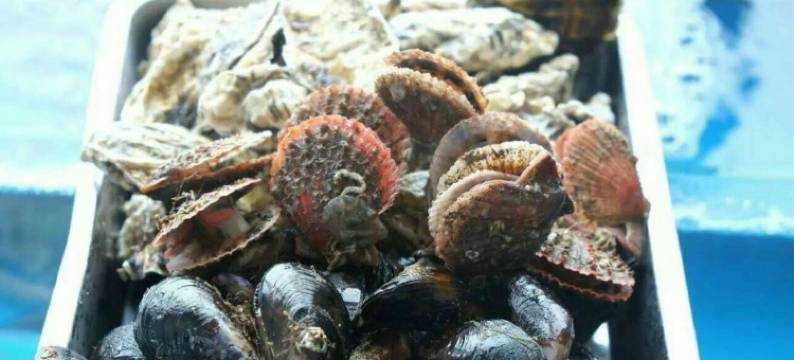 威海东楮岛海草房特色民宿图片