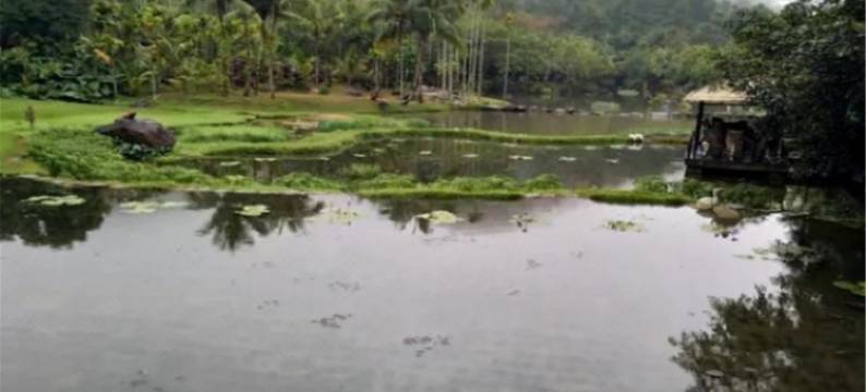 昆明美途酒店图片