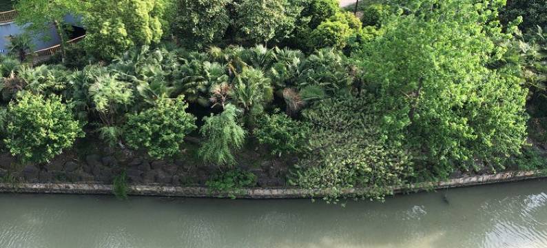 嘉兴琥珀小筑 Amber's  House图片