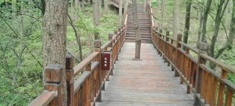 龙峪湾秦建伟民宿图片