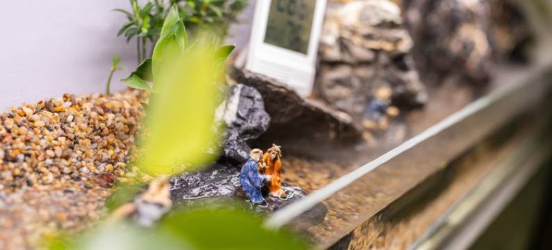 青岛名利不如闲公寓图片