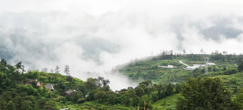 金华清庐度假别墅(2号店)图片