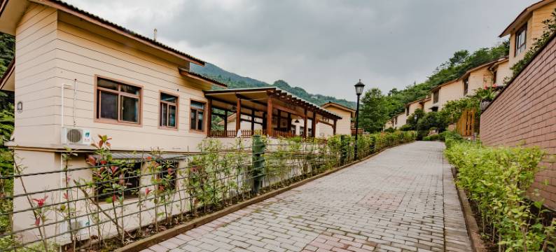 成都青城后山避暑度假养生/联排别墅/山景房图片