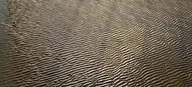 青岛蝶舞小筑图片