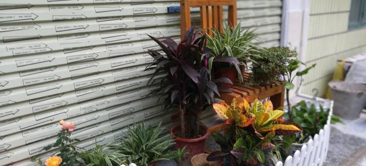 桂林阳朔娟娟的家公寓图片