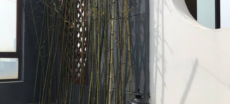 南京云栖设计之家别墅图片