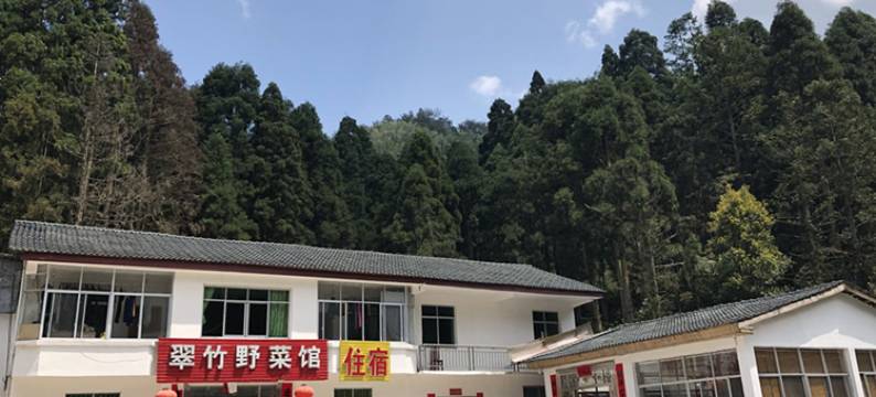 井冈山翠竹野菜馆住宿图片