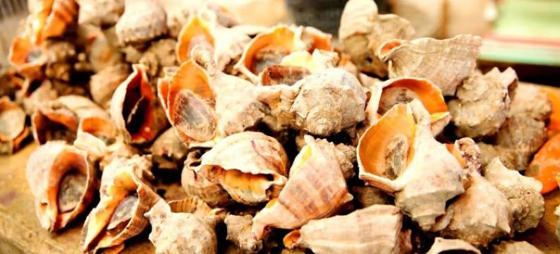 海心小筑(斥山东路分店)图片