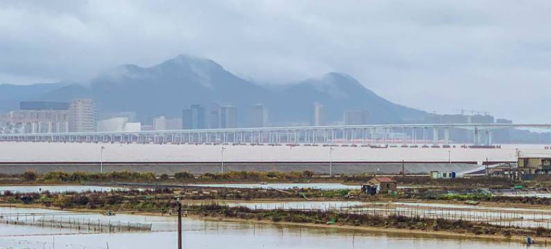 朱家尖阿婆小院民宿(蜈蚣峙码头店)图片