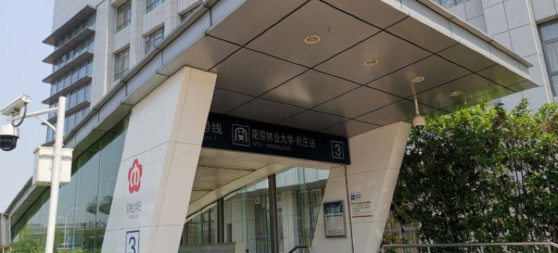 南京暖室小居公寓NO.5图片