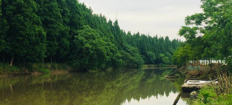 上海麦子塘北度假别墅图片