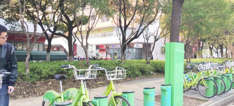 苏州阳澄湖奕欧来民宿图片