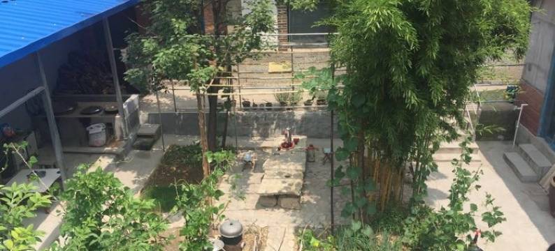 雷克斯船长民宿(淄博石沟村店)图片