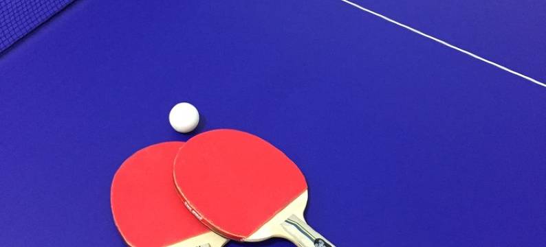 上海麦子塘北度假别墅图片