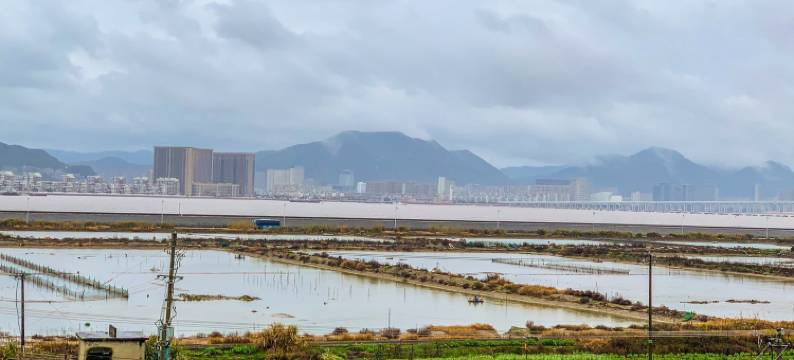 朱家尖阿婆小院民宿(蜈蚣峙码头店)图片