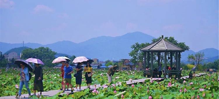 武夷山灵泉民宿(玉虹街分店)图片