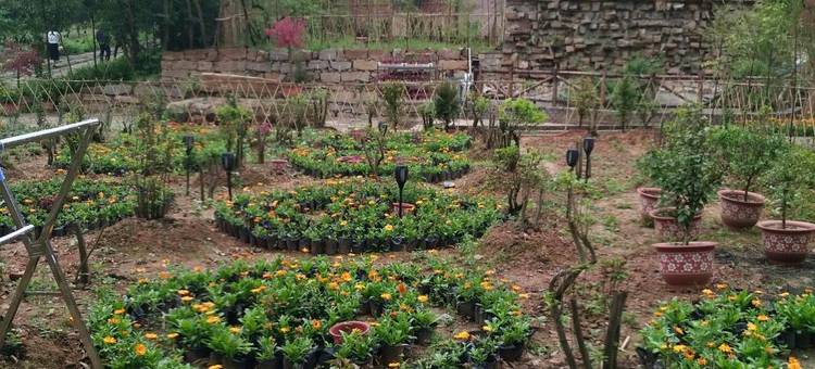 五丁谷民宿(凤雏路分店)图片