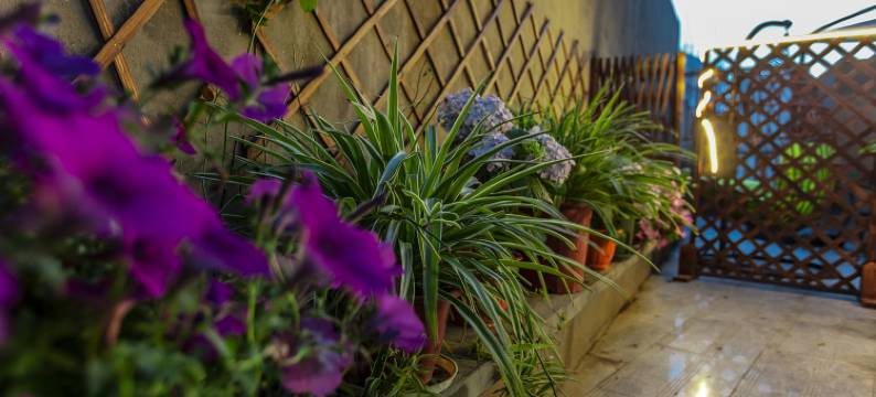 喜悦民宿(西塘古镇景区店)图片