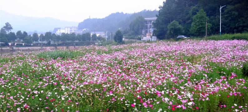 韶山途有小家精品民宿图片