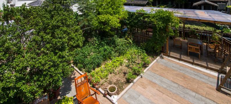 上海琴轩居客栈图片