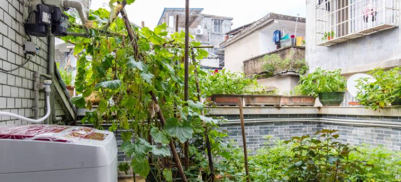 桂林漓江雅苑度假别墅(2号店)图片