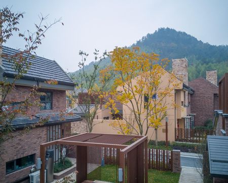 安吉五峰山联排别墅(近龙王西)