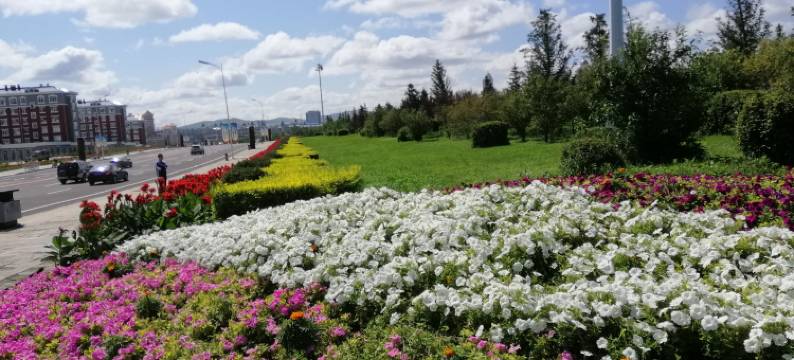 呼伦贝尔干净温馨家庭民宿图片