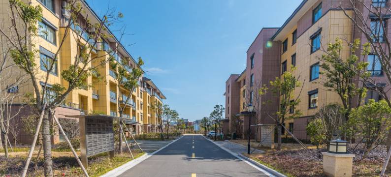 舟山蟑螂恶霸公寓图片