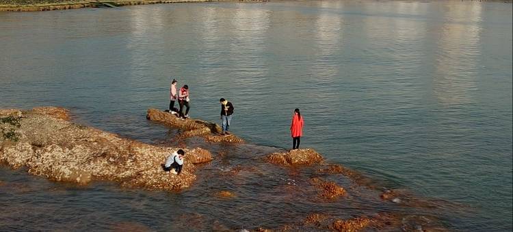 青岛蝶舞小筑图片