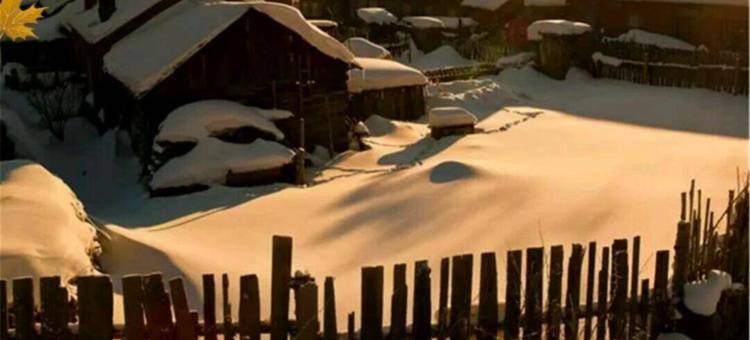 雪谷金和家庭旅馆图片