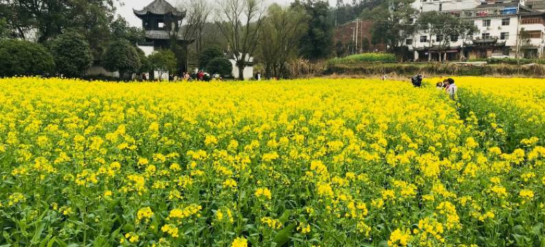 婺源庆源梯田客栈图片