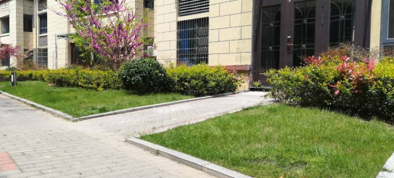 灵璧石公寓(黄栗树路分店)图片