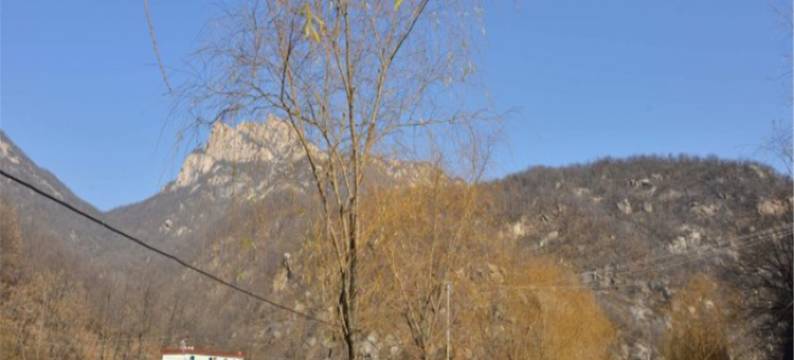 鲁山山门阳光庄园农家院图片