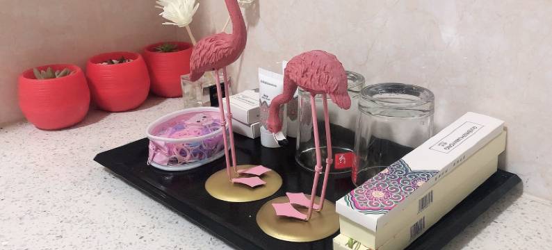 洛阳一城一家公寓图片