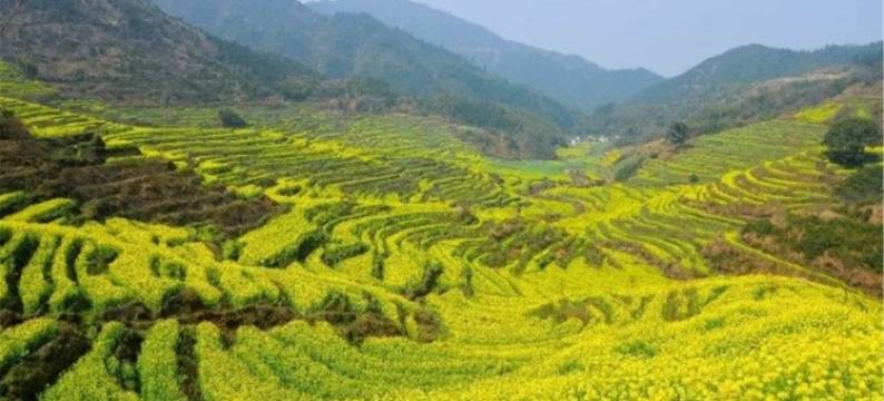 婺源宾悦客栈(篁岭景区店)图片