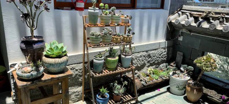 来趣儿民宿(大理古城三月街店)图片